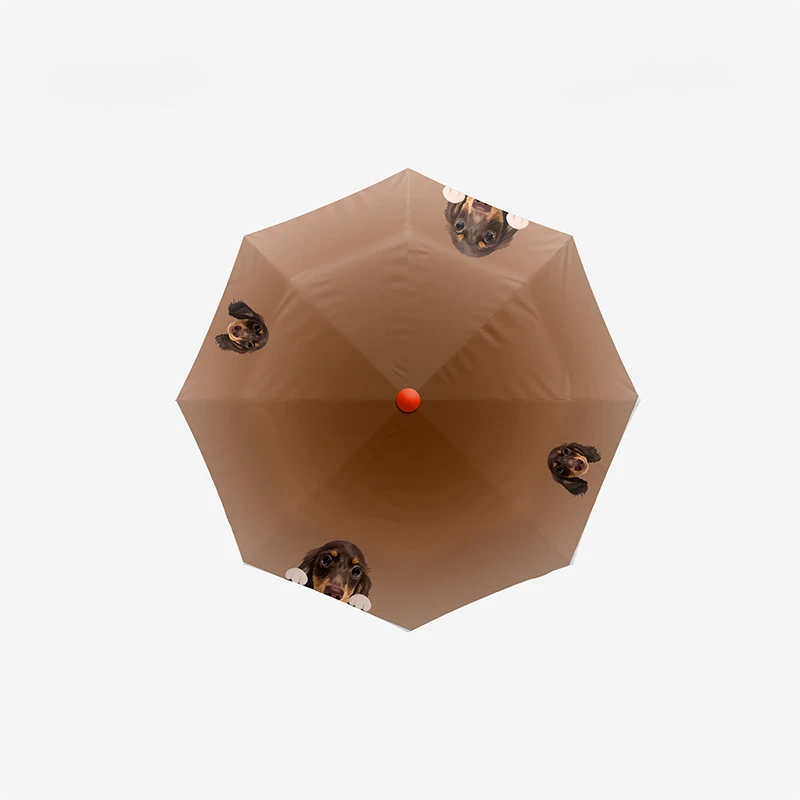 Custom Umbrella with Pet Portrait