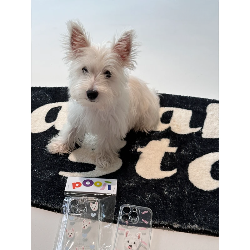 Custom iPhone Clear Case with Pet Portrait